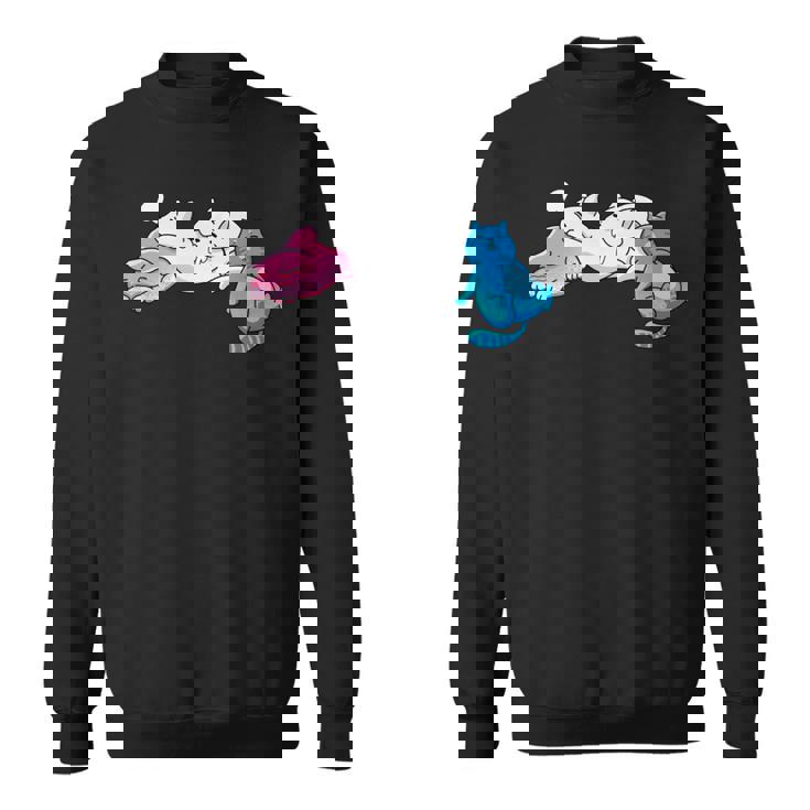 Des Chats Transgenres Endormis Aux Couleurs Transgenres Manche Longue Sweater e