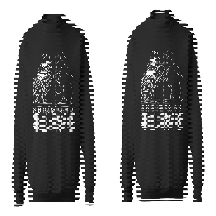 El Gato Dechrödinger Estáivo Y Muerto Ciencia Físico Camisa de entrenamiento