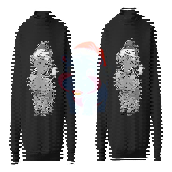 Joli Petit Hippopotame Chapeau De Père Noël Coloré Amusant Manche Longue Sweater e