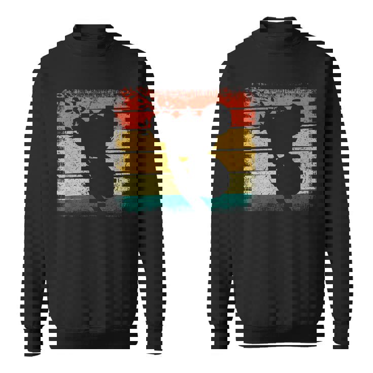 Koala Australien Retrointage Australia Day Sweater e