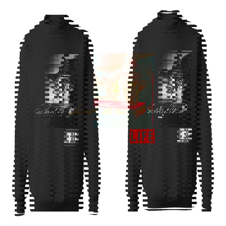 Life Picture Collection 猫（6） スウェットシャツ