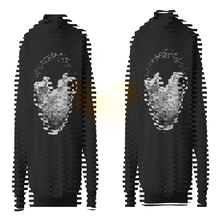 Lying Cat スウェットシャツ