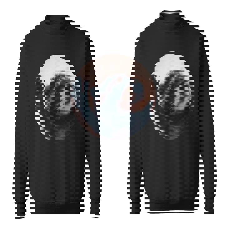 Meme Pedro Racoon Sweater e