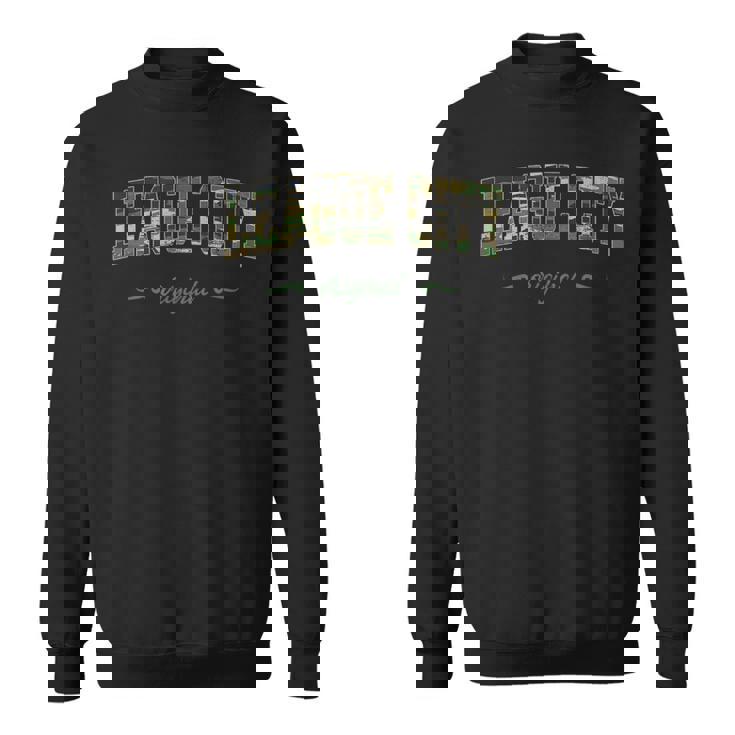 Round Rock College Texas Camouflage Sweatshirt Unisex