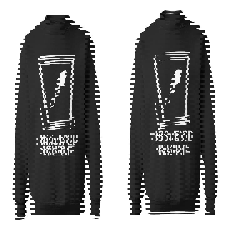 これはとても古い私の絵です 面白い誕生日プレゼント。 スウェットシャツ