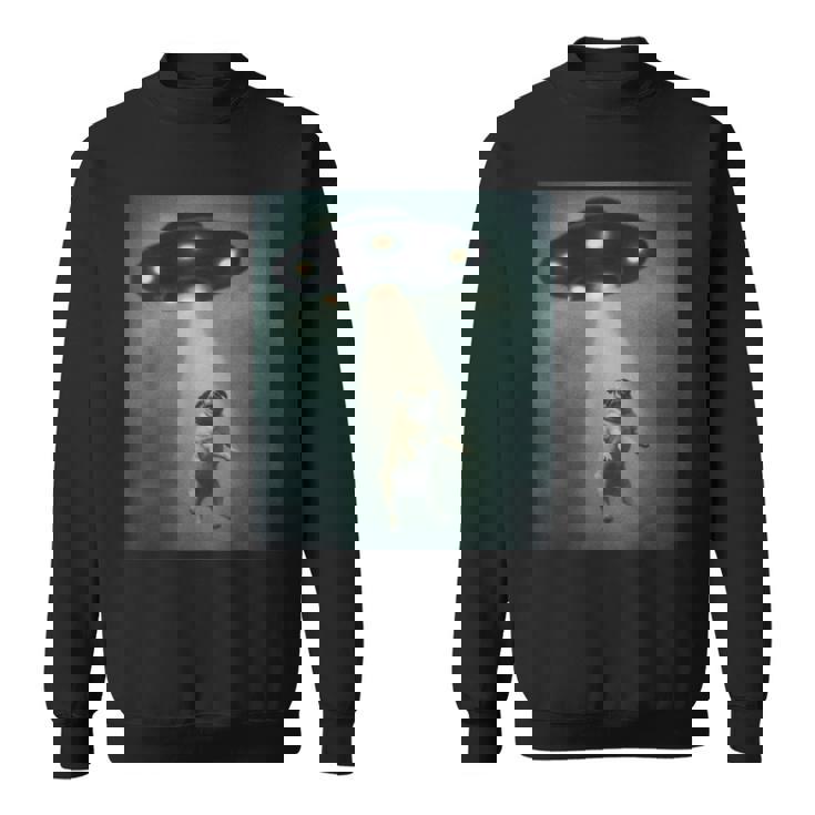 エイリアン誘拐パグ Ufo 面白い宇宙犬デザイン スウェットシャツ