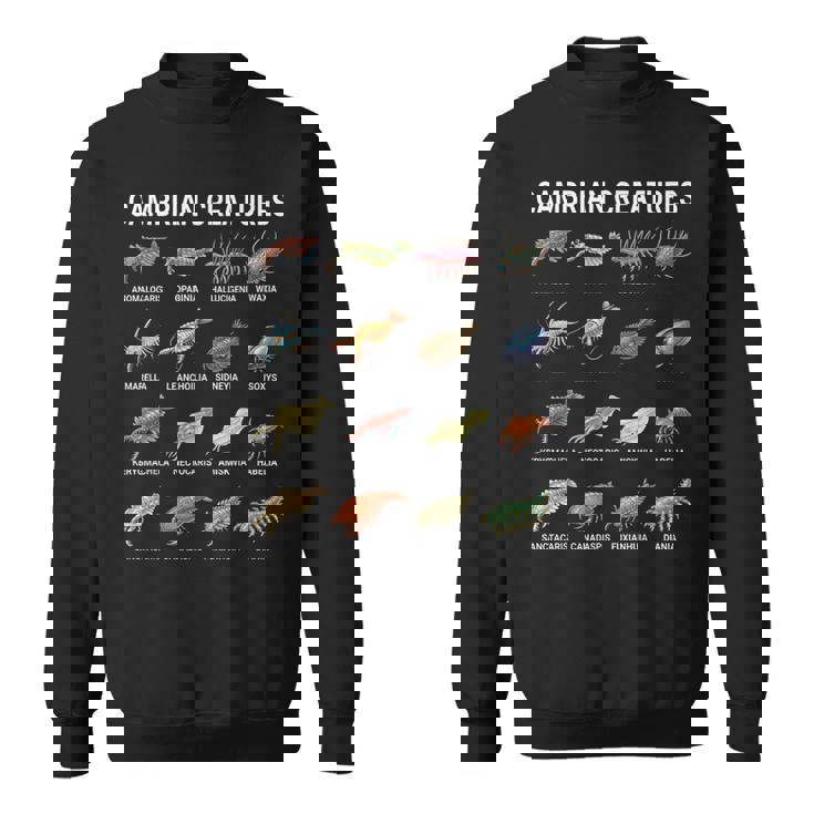 カンブリア紀の生き物チャート–先史時代の海洋生物アート スウェットシャツ