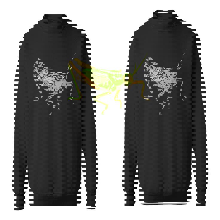 キリギリス アート デザイン イラスト イナゴ キリギリス スウェットシャツ