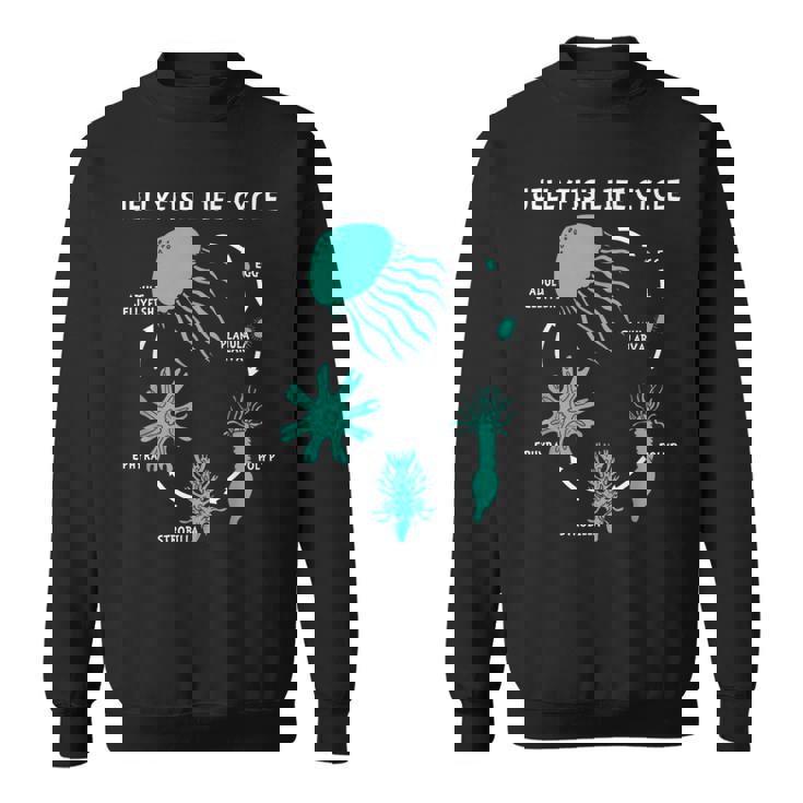 クラゲのライフサイクル スウェットシャツ