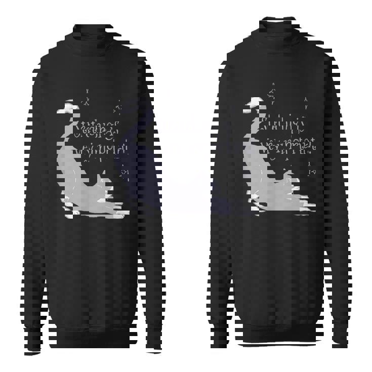 ストレッチは大事！ 猫 ネコ 愛猫 伸び 柔軟 ハチワレ 靴下猫 シンプル かわいい 癒やし メンズ レディース キッズ スウェットシャツ