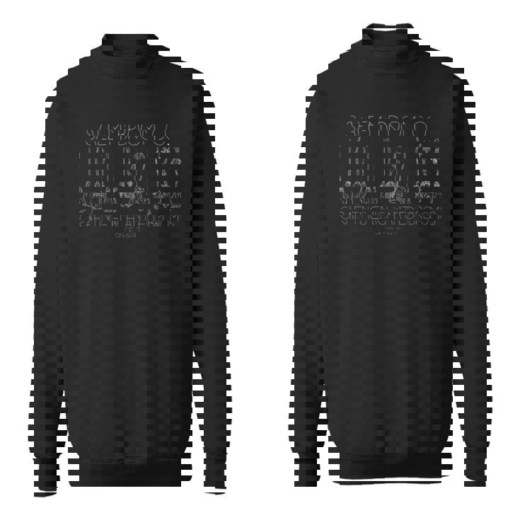 セーラム ほうき 面白い 空飛ぶ魔女 ハロウィン 魔女 長袖tシャツ スウェットシャツ