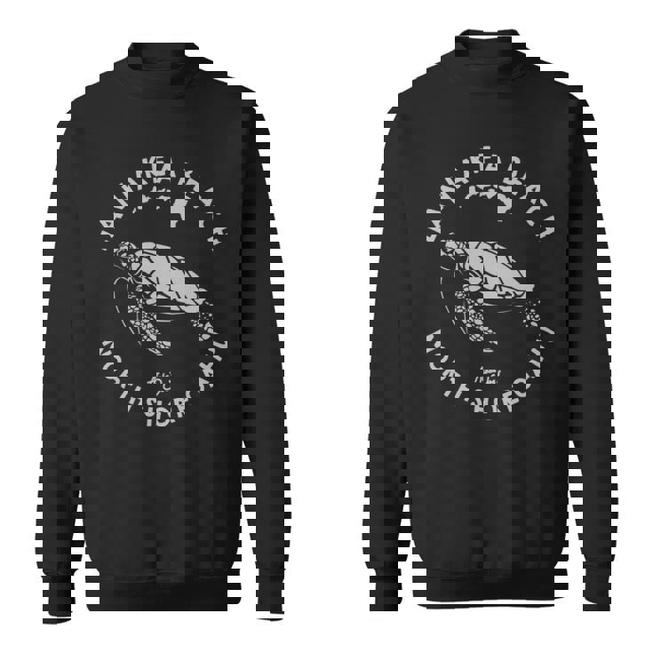 ハワイ ホヌ ウミガメ ラニアクア ビーチ ノースショア オアフ島 長袖tシャツ スウェットシャツ