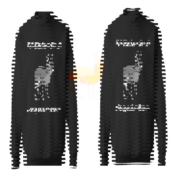 パタゴニア・マラ 長袖tシャツ スウェットシャツ