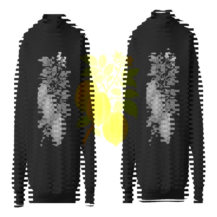 ビンテージ ボタニカル スターフルーツ 自然 アートプリント スウェットシャツ