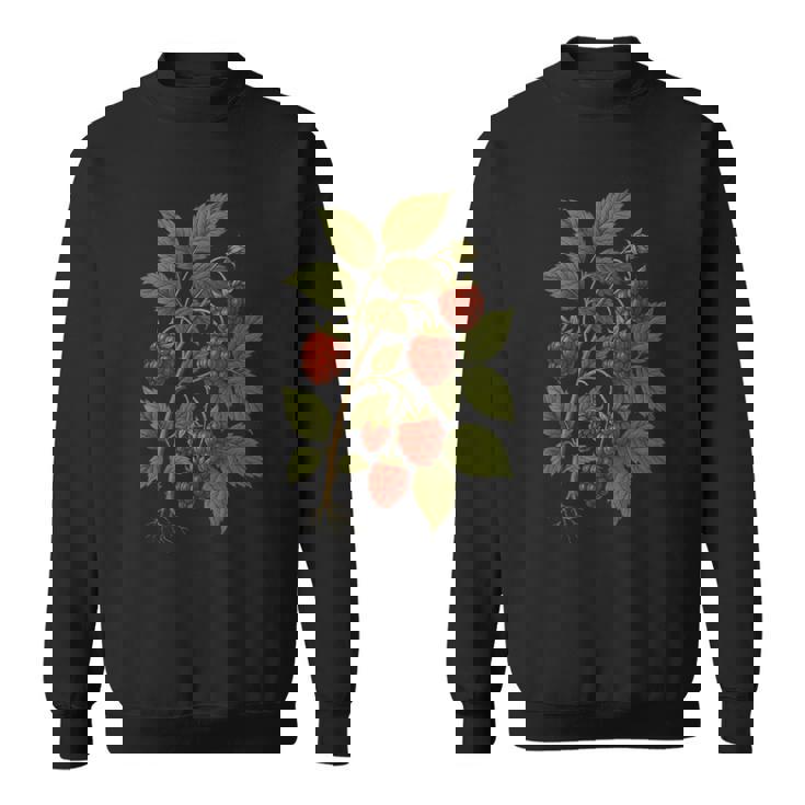 ビンテージボタニカルラズベリー自然アートプリント。 スウェットシャツ