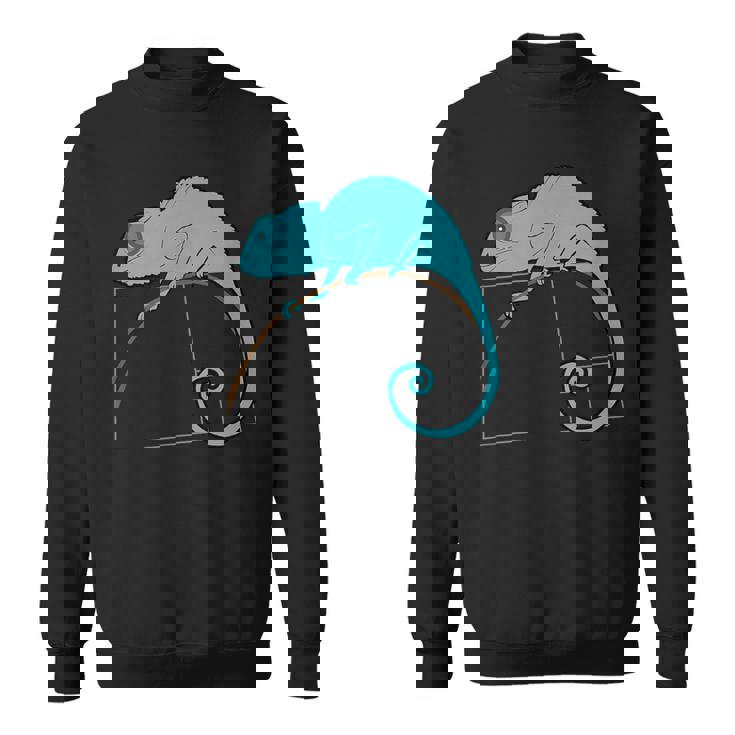 フィボナッチカメレオン黄金比 スウェットシャツ
