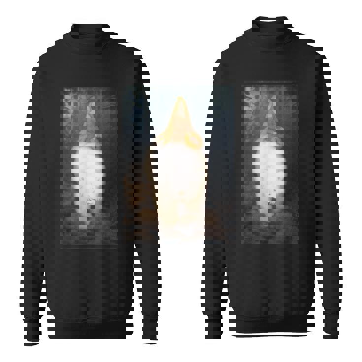 ホワイトベア王 ヴァレモン テオドール・キッテルセン ロマン主義アート スウェットシャツ