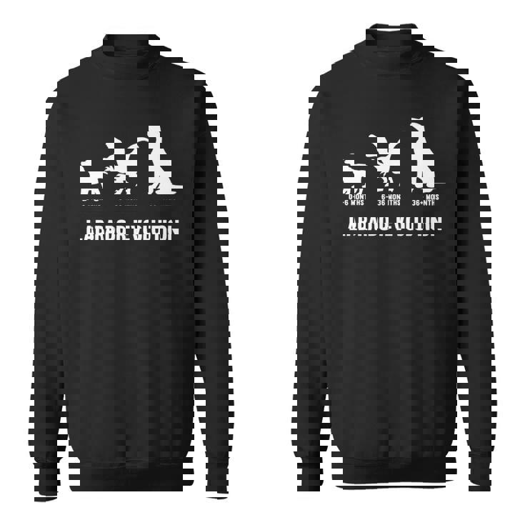 ラブラドールレトリバー エボリューションデザイン ラブラドールオーナー向け 長袖tシャツ スウェットシャツ