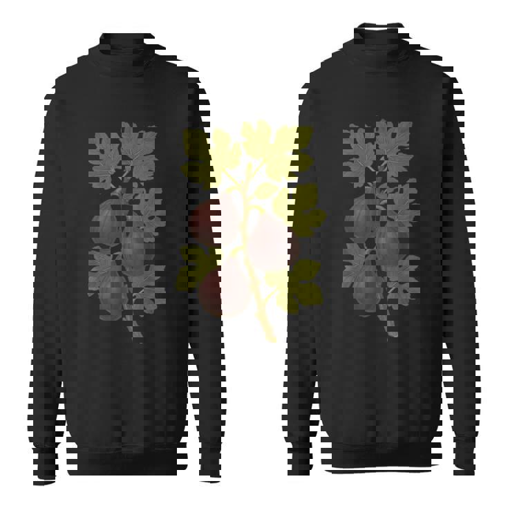 ヴィンテージ ボタニカル イチジク 自然 フルーツ アートプリント スウェットシャツ