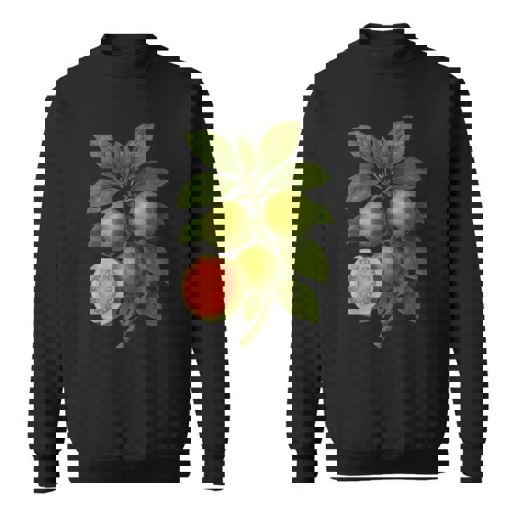 ヴィンテージ ボタニカル グアバ 自然 フルーツ アートプリント スウェットシャツ