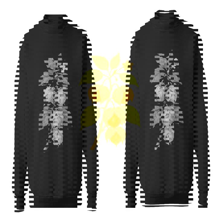 ヴィンテージ ボタニカル サイサリス 自然 フルーツ アートプリント スウェットシャツ