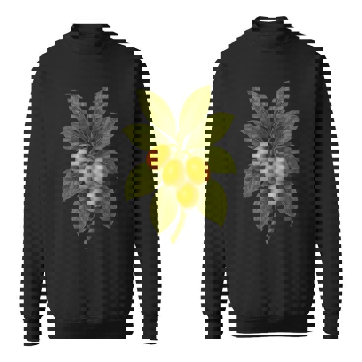 ヴィンテージ ボタニカル ビワ 自然 フルーツ アートプリント スウェットシャツ