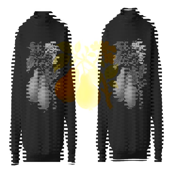 ヴィンテージボタニカル梨アートプリント スウェットシャツ