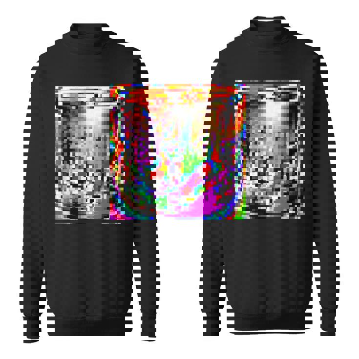 敵対的 アンチフェイシャル認識 カモフラージュ インビジビリティ スウェットシャツ