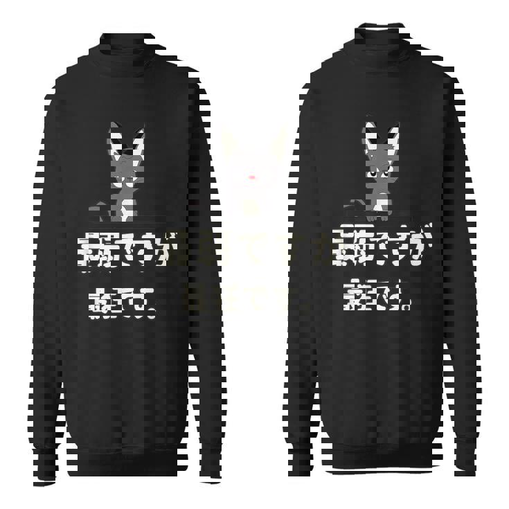 面白い 猫 文字入り 「最弱ですが最狂です。」おもしろギャグ-ジョーク 漢字 最弱ですが最狂です。 スウェットシャツ