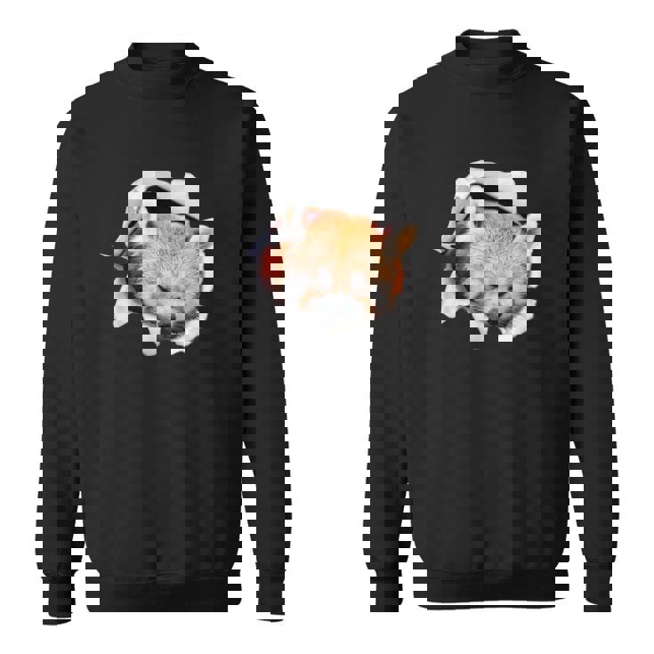 面白いtシャツ レッサーパンダ メンズ 動物 グッズ かわいい 面白い 服 ネタ スウェットシャツ