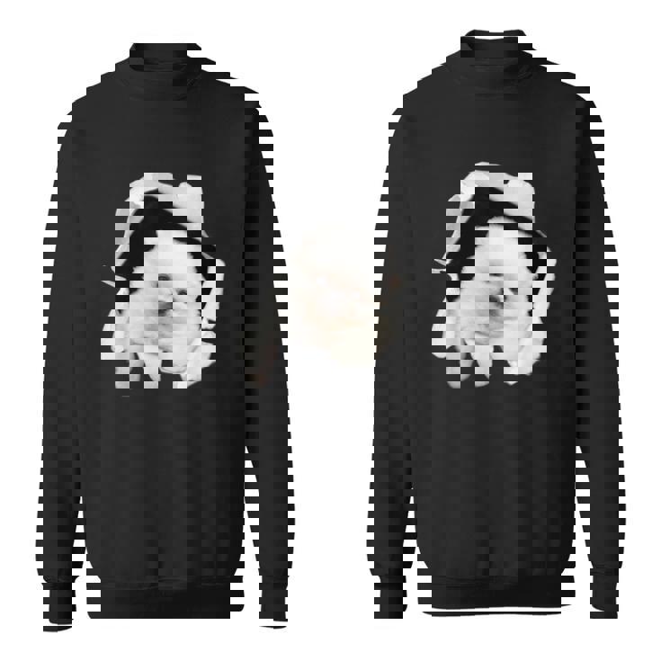 面白いtシャツ 犬 ポメラニアン イヌ わんこ メンズ 犬好き グッズ かわいい おもしろ 面白い 服 ネタ スウェットシャツ