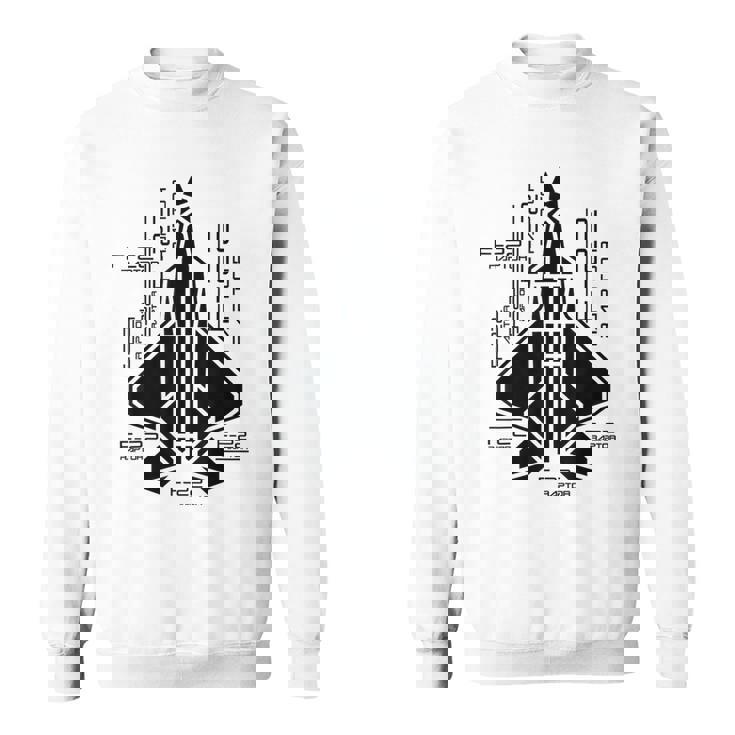Raptor Airplane F-22 Jet Fighter Souvenir And Fighter Jet Sweatshirt Unisex
