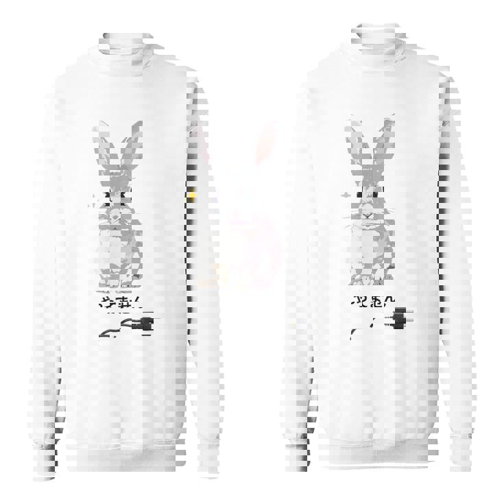 やってませんうさぎ 「I Didn't Do It」 いたずらウサギ 電源コード 面白いデザイン 黒文字 スウェットシャツ