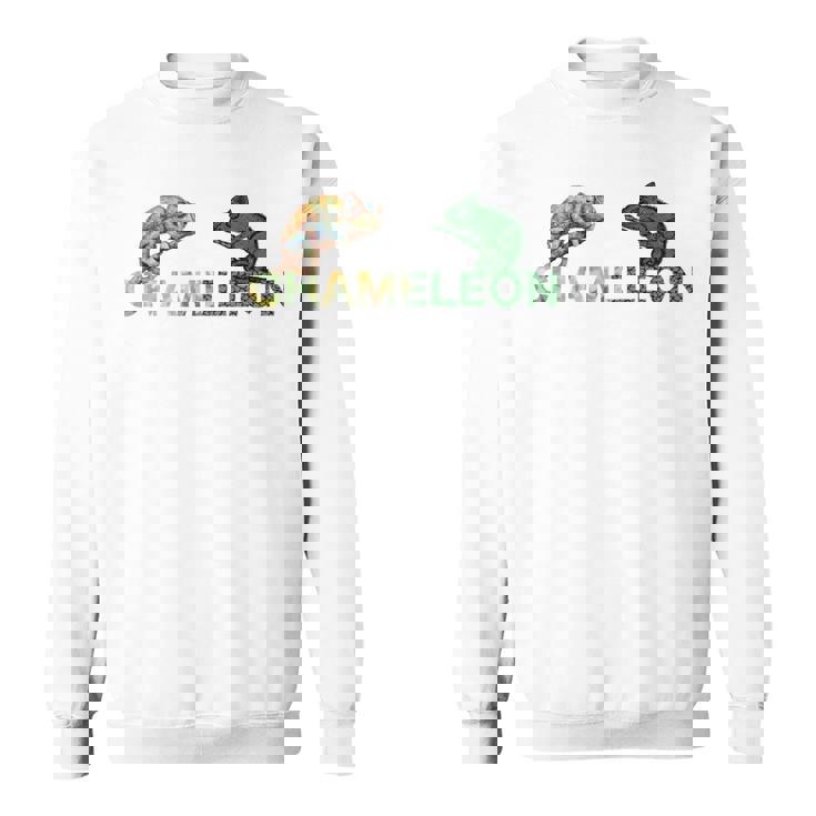 カラフル カメレオン 長袖tシャツ スウェットシャツ