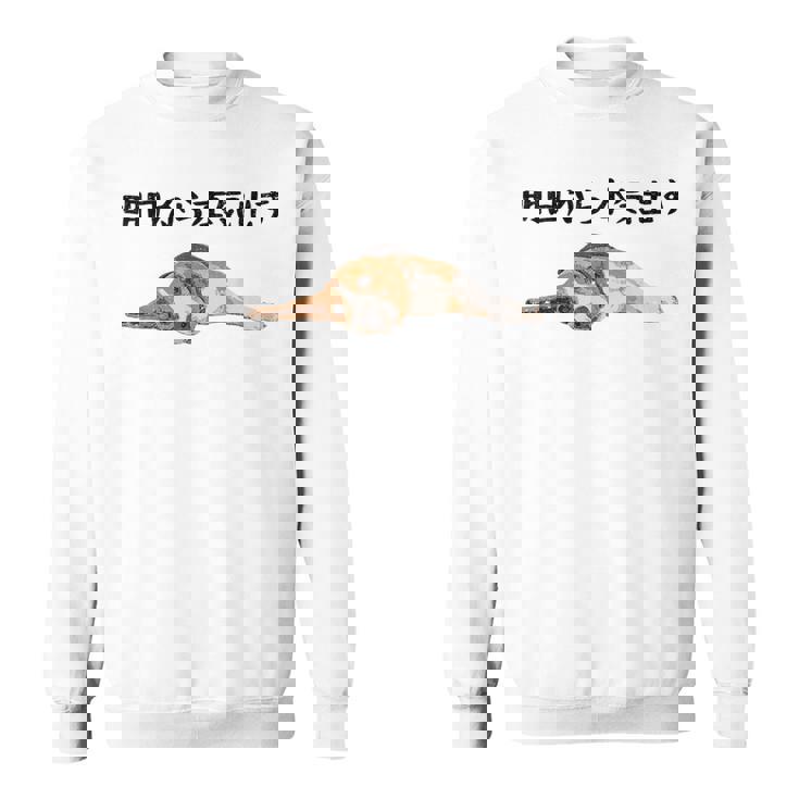 明日から本気出す ・ビーグルス ビーグル犬 面白い ビーグル愛好家に ビーグルののんびりデザイン スウェットシャツ