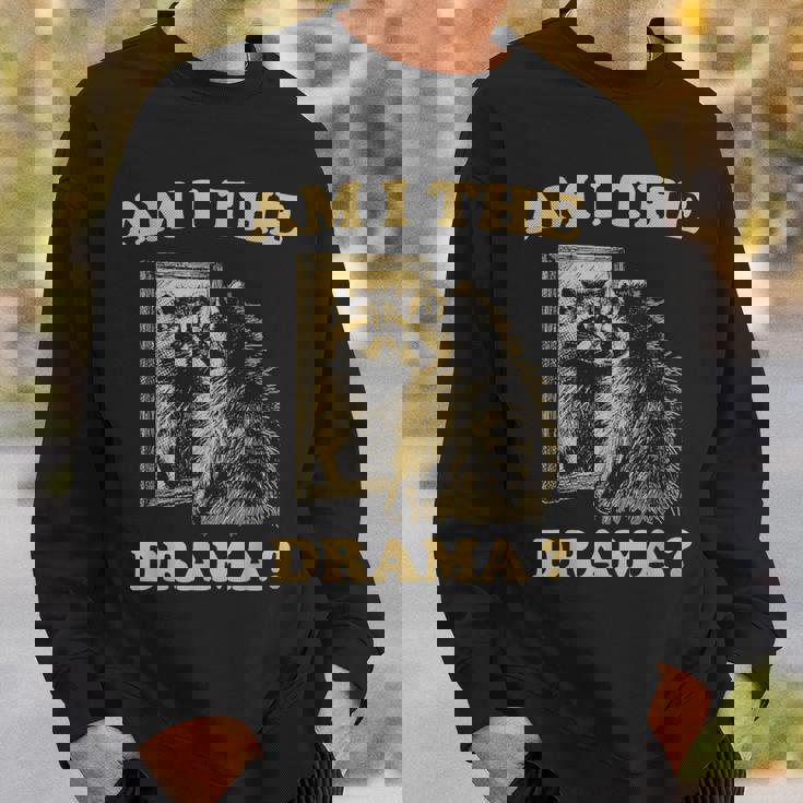 Am I The Drama Raccoon Unhinged Meme 陽気なアライグマのミーム スウェットシャツ 彼への贈り物