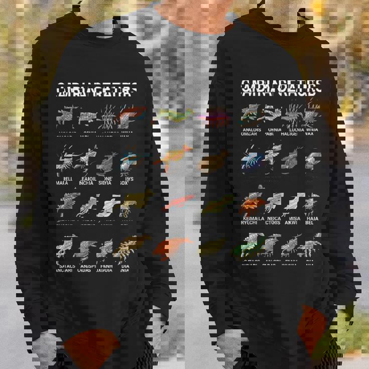 カンブリア紀の生き物チャート–先史時代の海洋生物アート スウェットシャツ 彼への贈り物