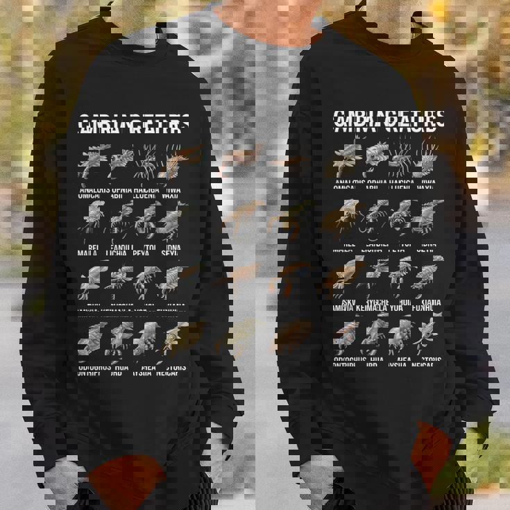 カンブリア紀の生き物チャート先史時代の生活古生物学 スウェットシャツ 彼への贈り物