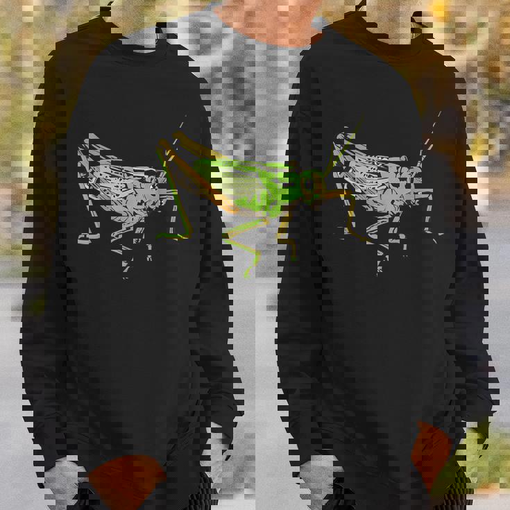 キリギリス アート デザイン イラスト イナゴ キリギリス スウェットシャツ 彼への贈り物