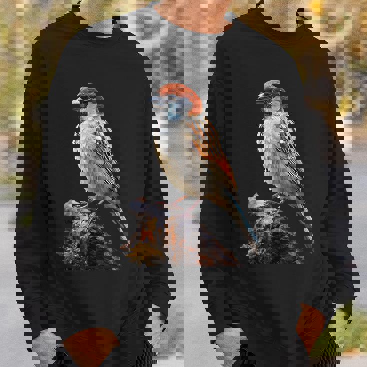 ギフト現実的なスズメ自然木鳥 スウェットシャツ 彼への贈り物