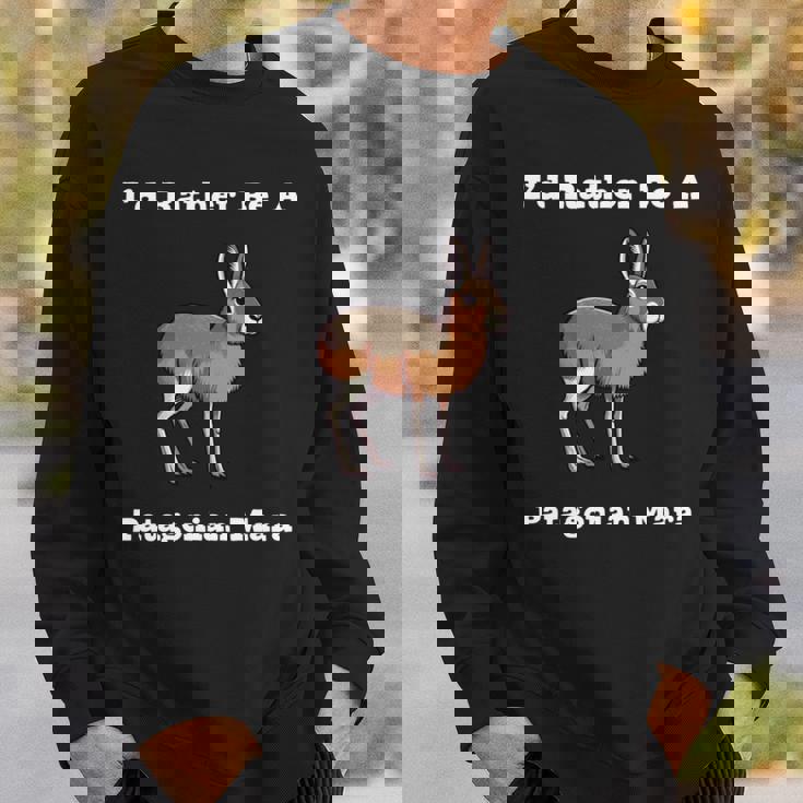 パタゴニア・マラ 長袖tシャツ スウェットシャツ 彼への贈り物