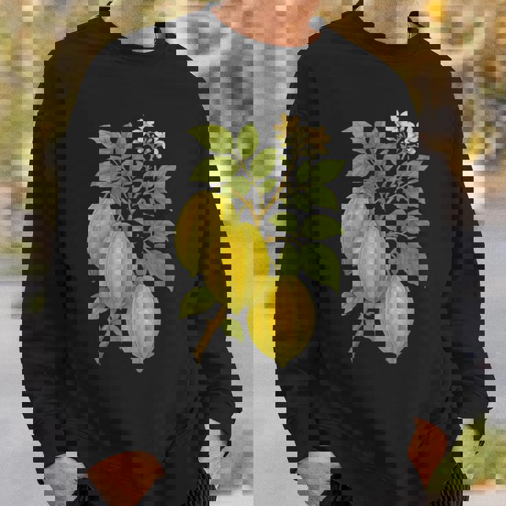 ビンテージ ボタニカル スターフルーツ 自然 アートプリント スウェットシャツ 彼への贈り物