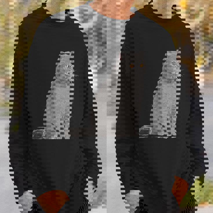 ブリティッシュショートヘアの猫 長袖tシャツ スウェットシャツ 彼への贈り物