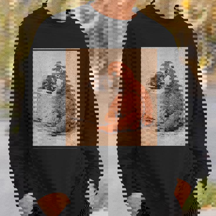 ベビーモンキーパンチ スウェットシャツ 彼への贈り物