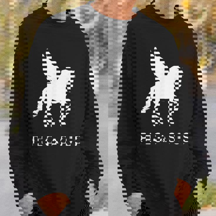 ペガサス コスチューム クラシック ギリシャ伝説 馬 ペガサス コスチューム スウェットシャツ 彼への贈り物