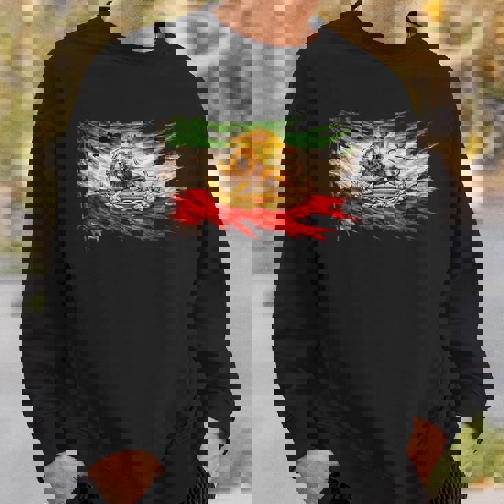 ライオンと太陽のエンブレムが付いたイランの国旗、ヴィンテージペルシャ遺産。 スウェットシャツ 彼への贈り物