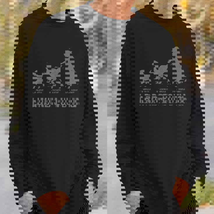 ラブラドールエボリューション おもしろい ラブラドールレトリバー ママ パパ 犬 スウェットシャツ 彼への贈り物