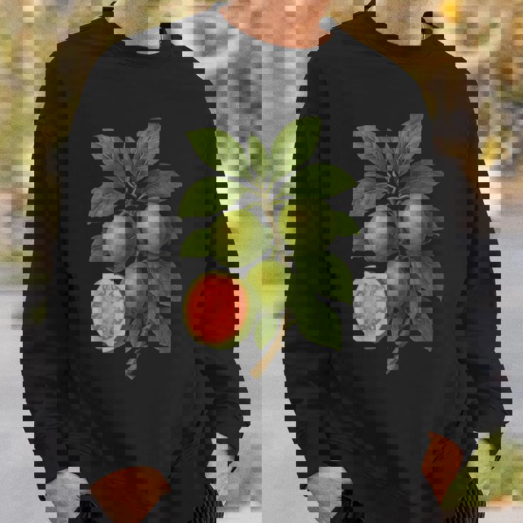 ヴィンテージ ボタニカル グアバ 自然 フルーツ アートプリント スウェットシャツ 彼への贈り物