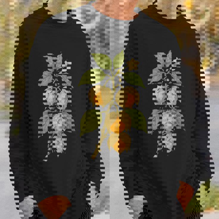 ヴィンテージ ボタニカル サイサリス 自然 フルーツ アートプリント スウェットシャツ 彼への贈り物