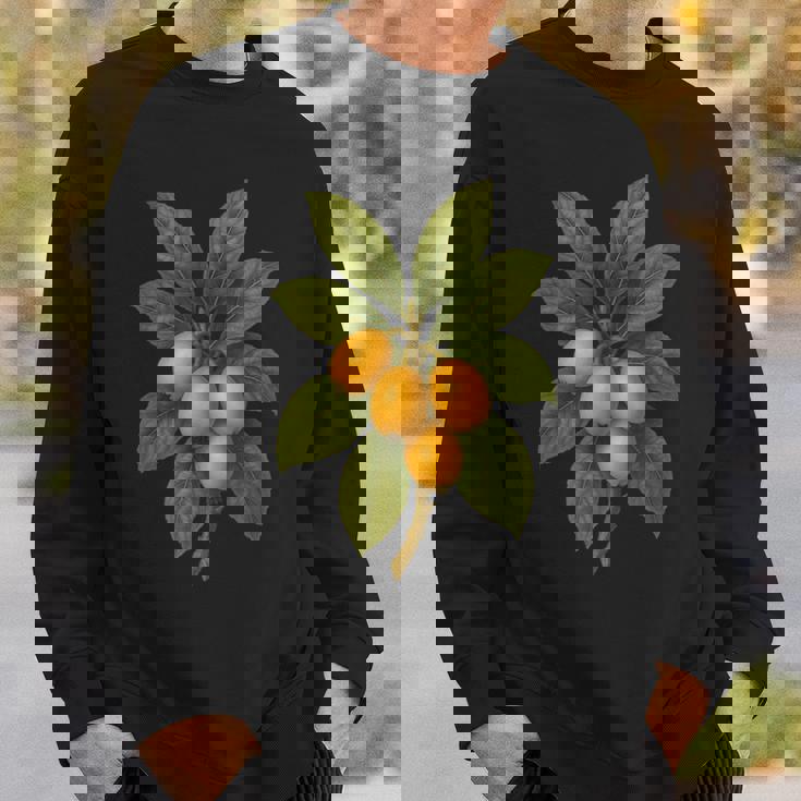 ヴィンテージ ボタニカル ビワ 自然 フルーツ アートプリント スウェットシャツ 彼への贈り物